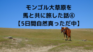 モンゴル大草原を 馬と共に旅した話④ 【5日間自然真っただ中】